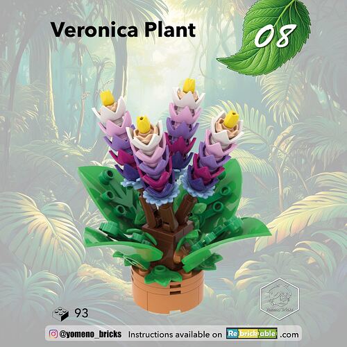 08-Véronique - Veronica Plant01
