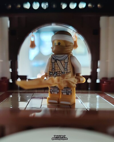 Ninja d'Or