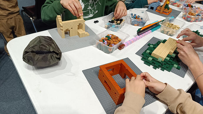 IMG_20251207_153215 - Copie