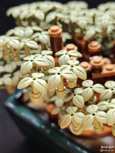 olivebonsai03
