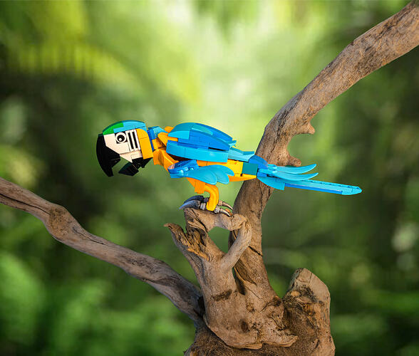 parrot2