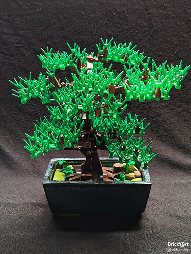authenticbonsai01