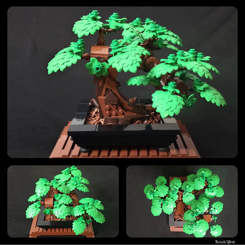 bonsai_alternatif_1