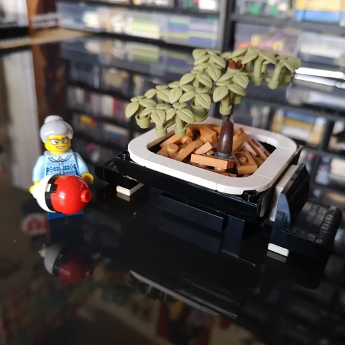 Mini-Bonsaï avec banc