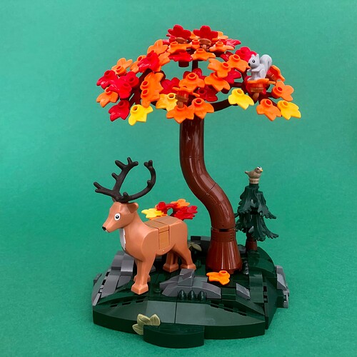 03_L’érable flamboyant_3