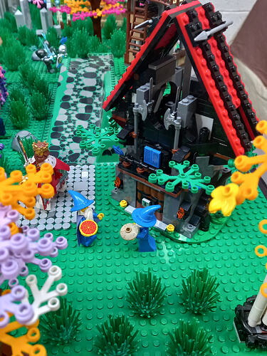 Tomtom et Sergio (4)