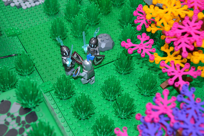 Tomtom et Sergio (25)