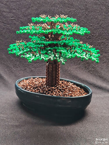 archaicbonsai01