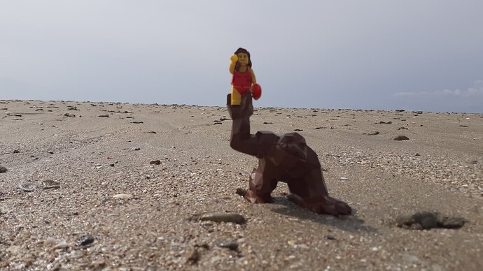 26-Rocko, la surveillance de la plage