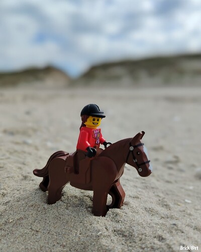 Aurélie part en promenade à cheval