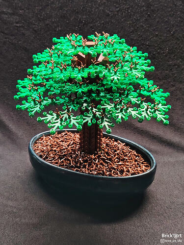 archaicbonsai02