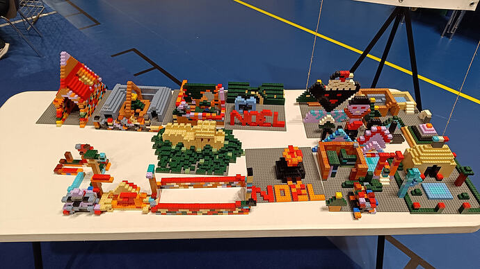 IMG_20251207_170159 - Copie