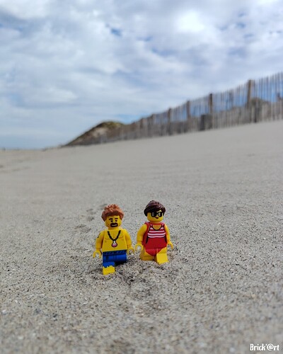 Promenade sur la plage