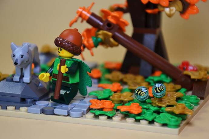 06_Promenons-nous dans les Bois_4