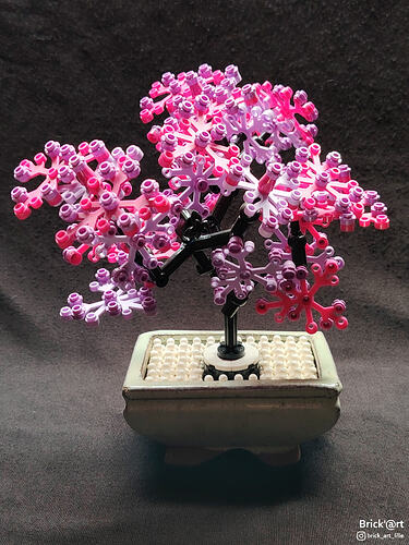 pinkybonsai02