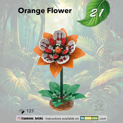 21-Fleur Orange - Orange Flower01