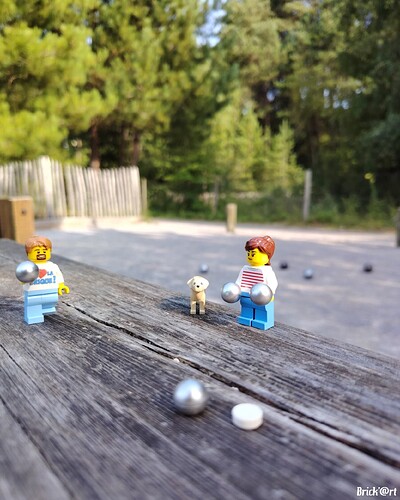 Une partie de pétanque