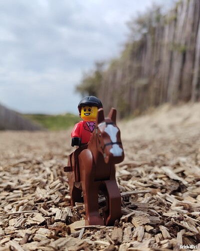 Aurélie part en promenade à cheval