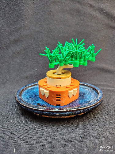 Mini Bonsaï_3