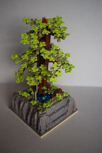 07_L’automne est là_1