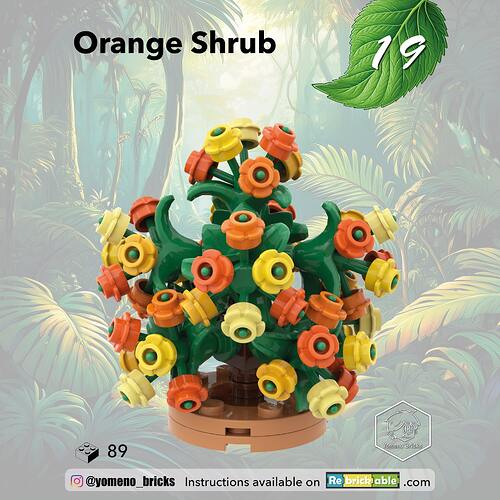 19-Arbuste Orange - Orange Shrub1