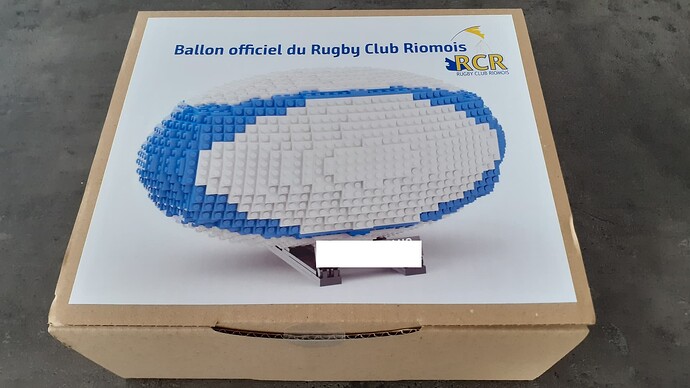 20241221_115344 Flou