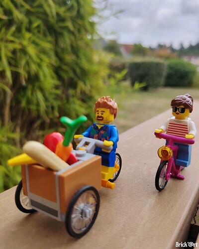 De retour du marché