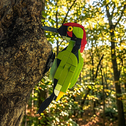 bird again