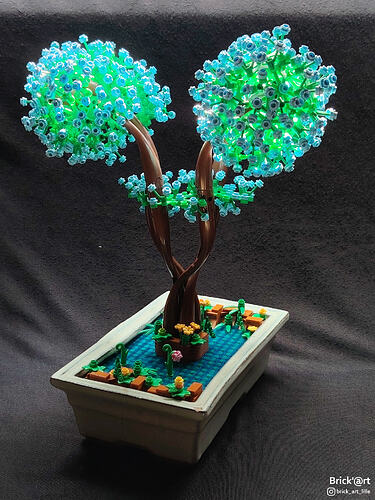 asiaticbonsai02