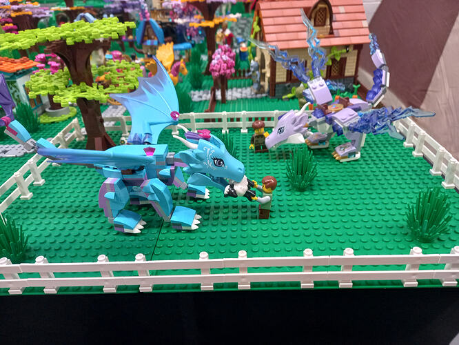 Tomtom et Sergio (3)