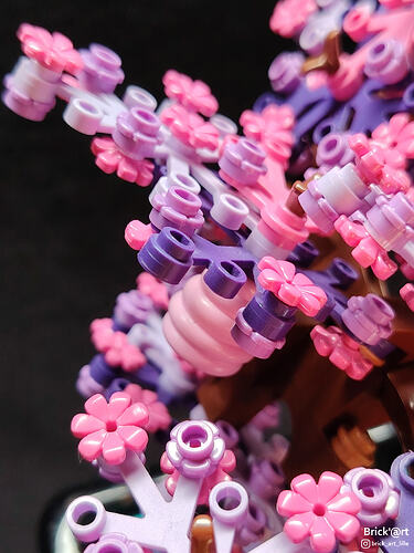 pinkybonsai04