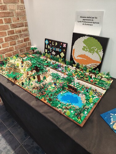 Diorama pédagogique réalisé par des lycéens