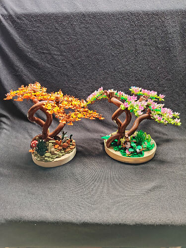 nature d'automne et de printemps124848