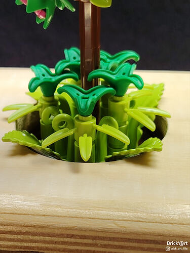 blossomtree04