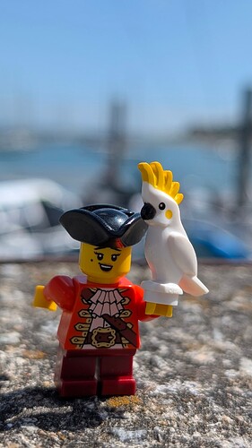 24-Pirate un jour, pirate toujours !