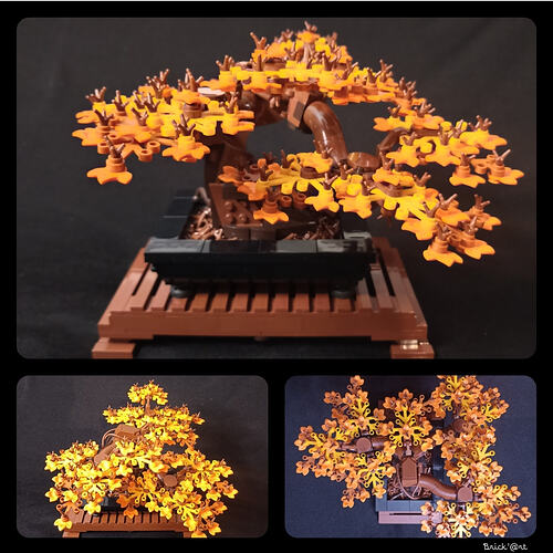 bonsai_alternatif_2