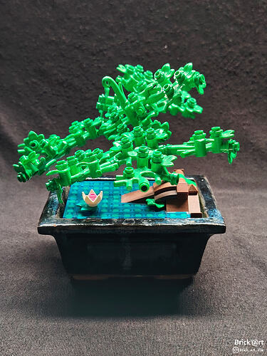 aquaticbonsai02