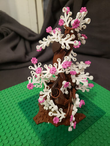 05_Entre l'Automne et le Printemps_5