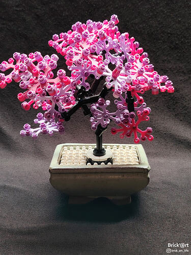 pinkybonsai01