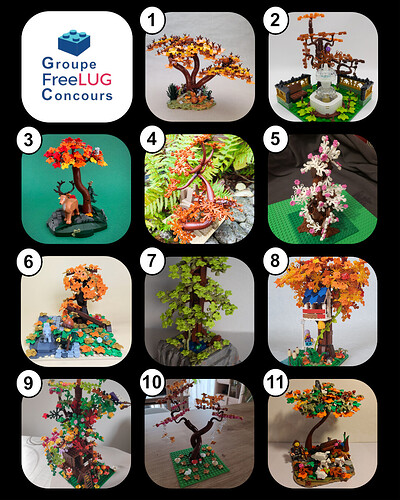 GFC_Mocathlon_1_avec_numero