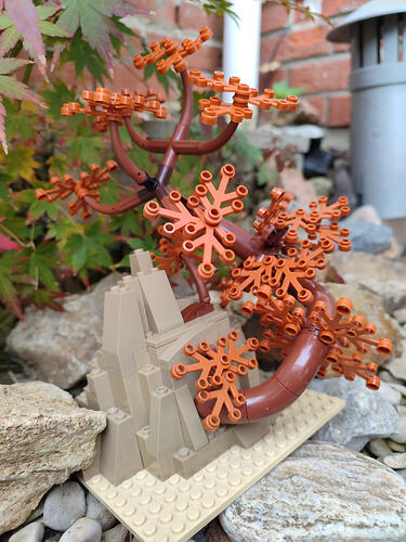 04_Arbre_enraciné dans la Roche_3