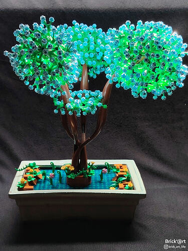 asiaticbonsai03