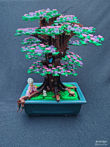 Bridgerton Bonsaï_4