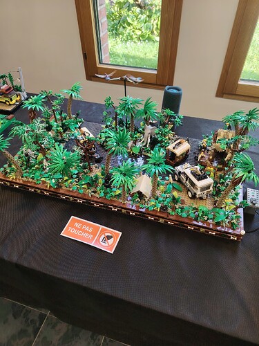 Jungle