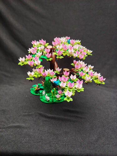 nature_de_printemps_7