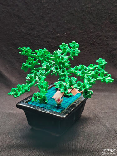 aquaticbonsai01