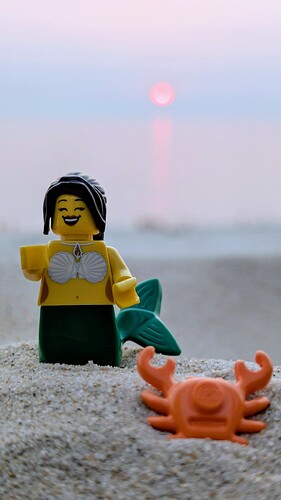 31-Une sirène à la plage