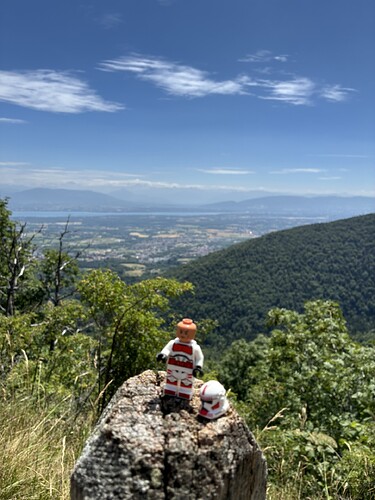 38-Vue sur la Suisse et le lac Léman