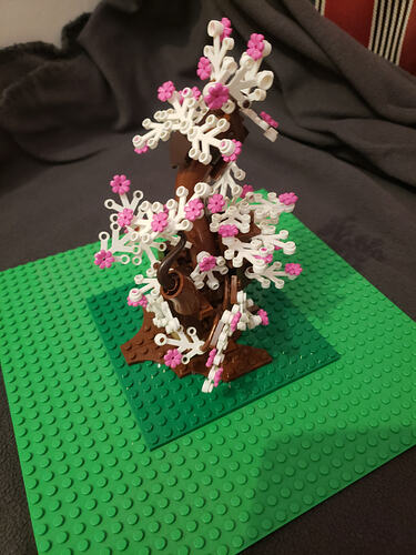 05_Entre l'Automne et le Printemps_1