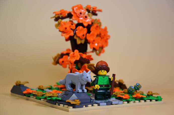 06_Promenons-nous dans les Bois_1